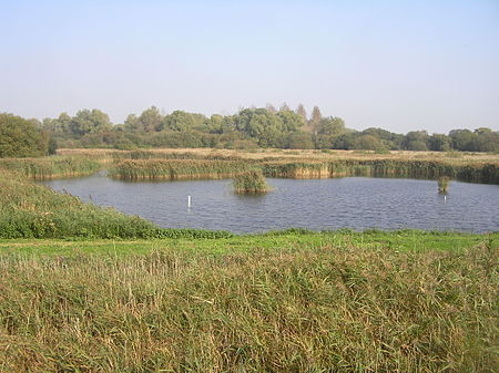 Fowlmere Nature Reserve