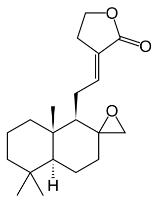 <span class="mw-page-title-main">Galanolactone</span> Chemical compound