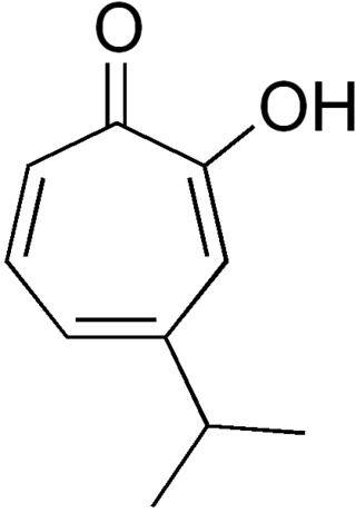 <span class="mw-page-title-main">Hinokitiol</span> Chemical compound