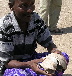 <span class="mw-page-title-main">Gawis cranium</span> Hominin fossil