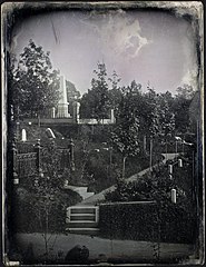 Gentian Path, Mount Auburn Cemetery (2677487251).jpg