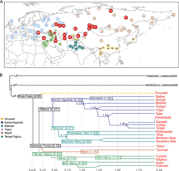 File:Geographic map and linguistic tree of Turkic languages.PNG