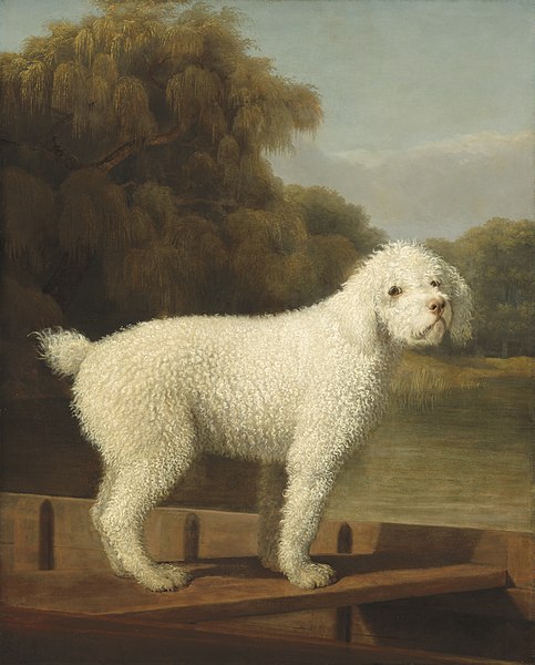 File:George Stubbs, White Poodle in a Punt, c. 1780, NGA 110281.jpg