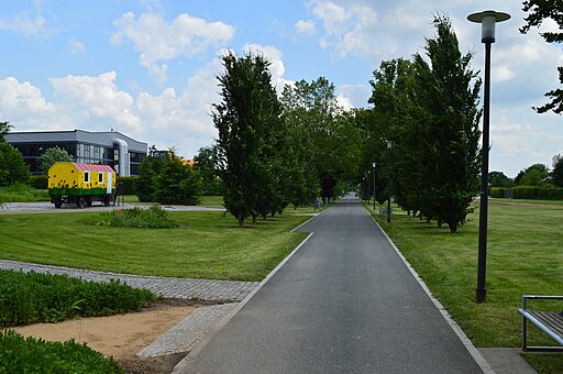 Gera Hofwiesenpark 2013-06-28 0106