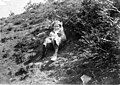 Girl sitting on hillside, 1900-1910 (WASTATE 3116).jpeg