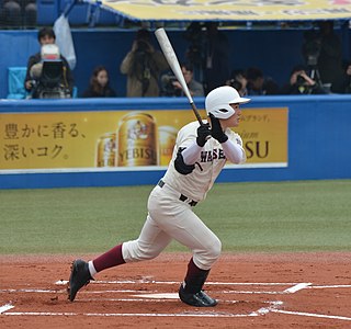 <span class="mw-page-title-main">2017 Nippon Professional Baseball draft</span>