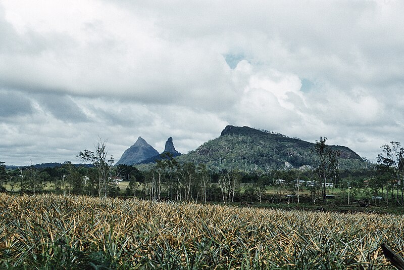 File:Glasshouse Mountains, Sunshine Coast QUT-7229-1.jpg