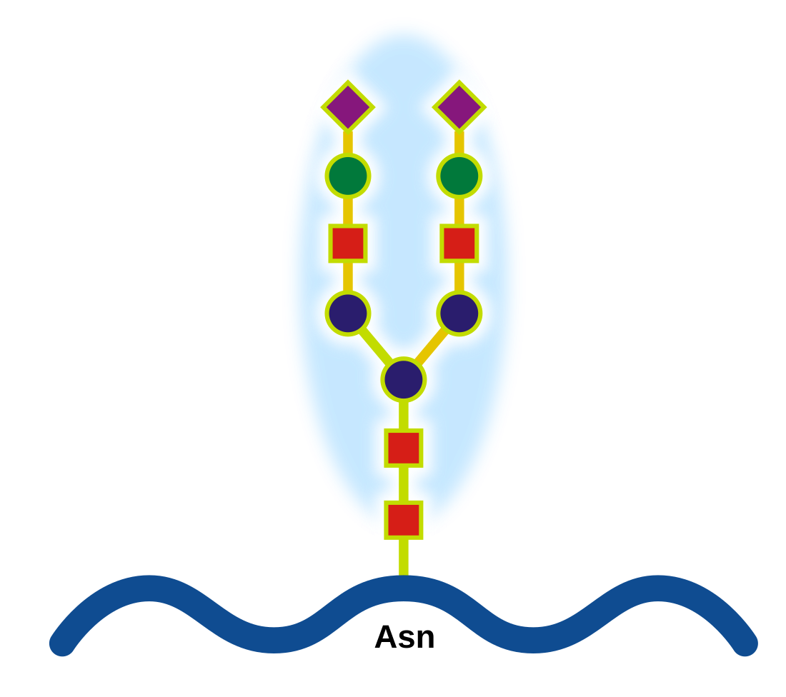 File:Glicoprotein.svg