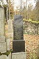 Čeština: Hroby na židovském hřbitově v Dřevíkově, okr. Chrudim. English: Gravestones at Jewish Cemetery in Dřevíkov, Chrudim District.