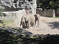 Guadalajara Zoo