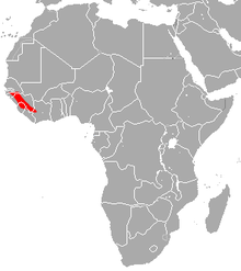Гвинейска подкова прилеп област.png