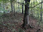 Roman settlement and barrows on the Katzelbach