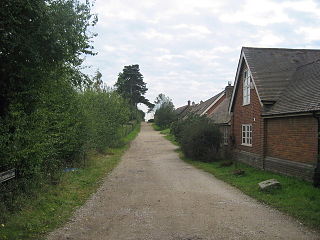 <span class="mw-page-title-main">Hastoe</span> Human settlement in England