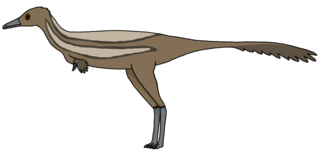 <i>Heptasteornis</i> Dubious extinct genus of reptiles