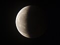 Hi again, Lunar. (16407602854).jpg