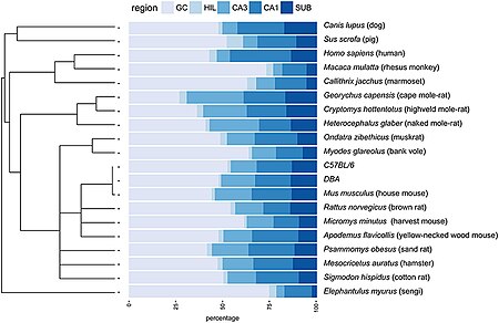 Tập_tin:Hippocampus-Principal_hippocampal_cell_number_distribution_in_the_phylogenetic_tree.jpg