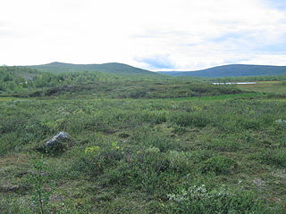 <span class="mw-page-title-main">Matti Seppälä</span> Finnish geomorphologist (1941–2020)