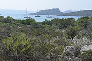Krajobraz Caprery