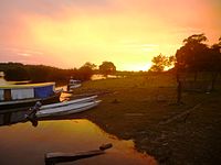 Maués (Amazonas)