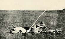 A reconstruction of an Sign left by the Dakotas on their trail Indian Sign left by the Dakotas on their Trail (cropped).jpg