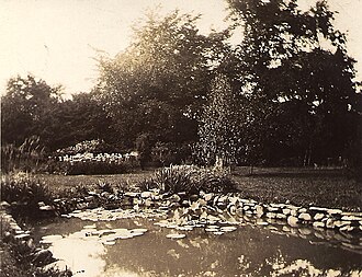 The garden lily pond with a bed of Iris behind, June 1930. Photo by Edna Kelly. Interpines Lily pond.jpg