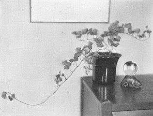 Ivy and Old Glass (1922)