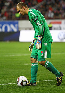 <span class="mw-page-title-main">Ján Mucha</span> Slovak footballer