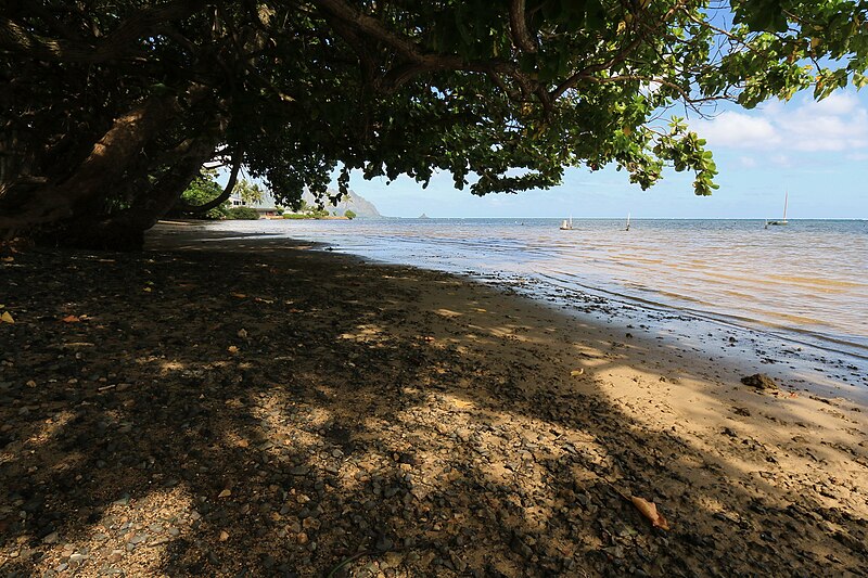 File:Kaneohe Bay, Kaneohe (503445).jpg