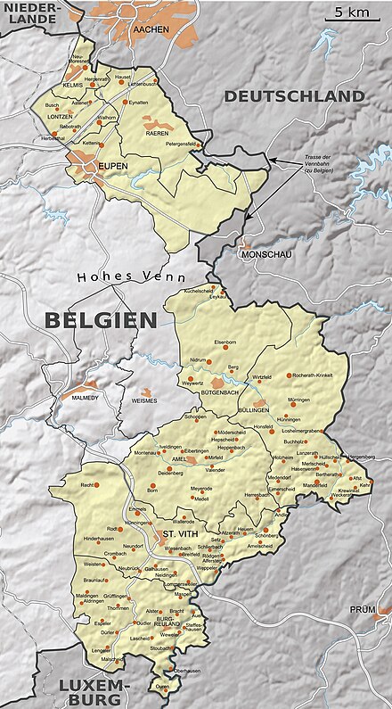 The Yellow municipalities are the German-Speaking community of Belgium, while the two grey municipalities (Malmedy and Weismes) were annexed from Germany after World War I as well, but natively speak French.