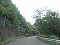 生名鷲ヶ尾 徳島県道283号和食勝浦線 (6)