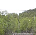 Kongeveiens bratte trase («Jacobsstigen») fra Maristova i retning Murklopphøgda er åpen gjennom skogen og brukes som tursti.