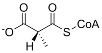 L-methylmalonyl-CoA.png