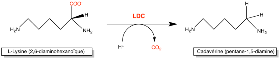 LOC-reactie