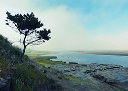 La Pesca - panoramio.jpg