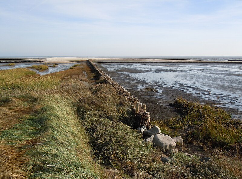 File:Landgewinnung bei Hallig Hooge 1.jpg