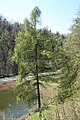 Ojcowski National Park, Poland