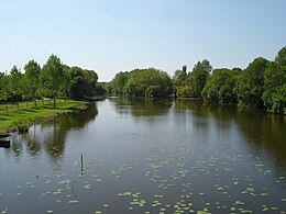 Le Thouet en aval de Montreuil-Bellay, près de Saumoussay.jpg