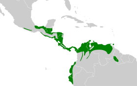 Distribución geográfica del trepatroncos cabecirrayado.