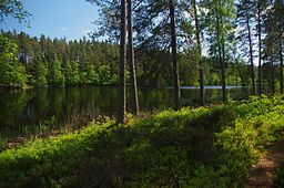 Lilla Öjasjön 8 juni 2013.