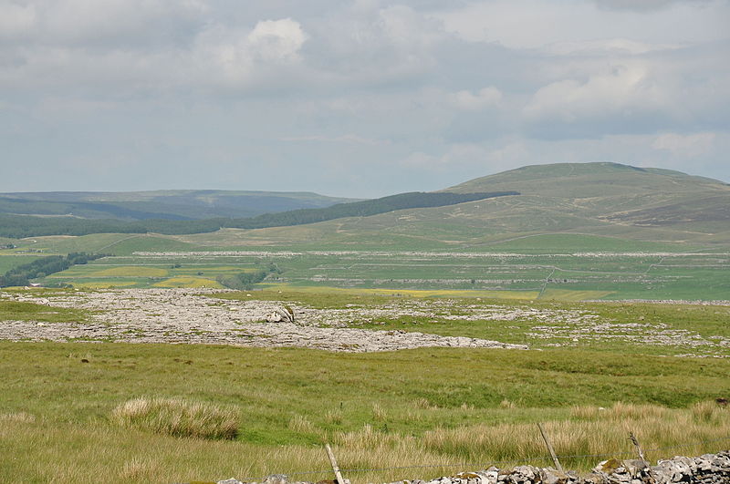 File:Limestone pavement east of Ingleborough (7777).jpg