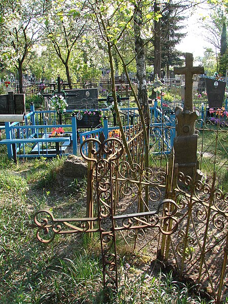 File:LitkyOldCentralCemetery.jpg