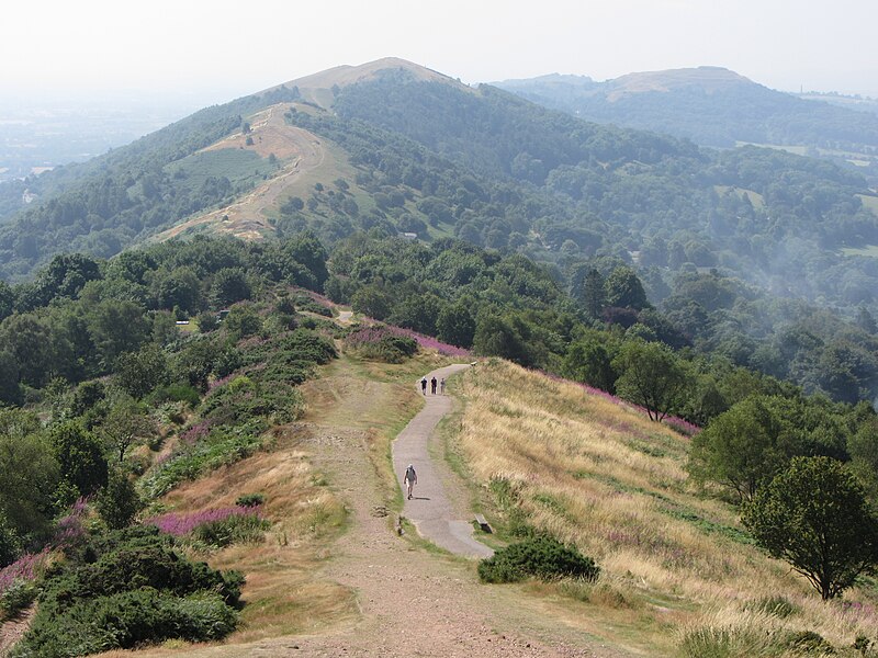 File:Looking down Shire Ditch - geograph.org.uk - 4088728.jpg