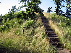 Lopaiciu piliakalnis. 2007-06-12.jpg