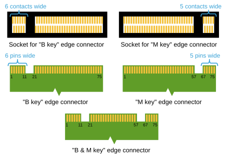 450px-M2_Edge_Connector_Keying.svg.png