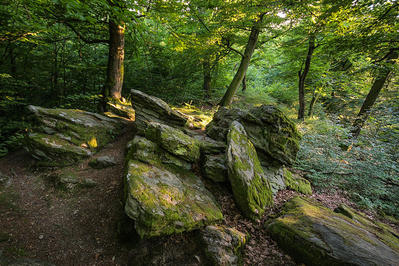 File:MK06894 NP Rhein-Taunus Nerotal Wiesbaden.jpg