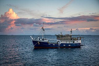 MV Indies Trader Surf exploration vessel, owned by Martin Daly