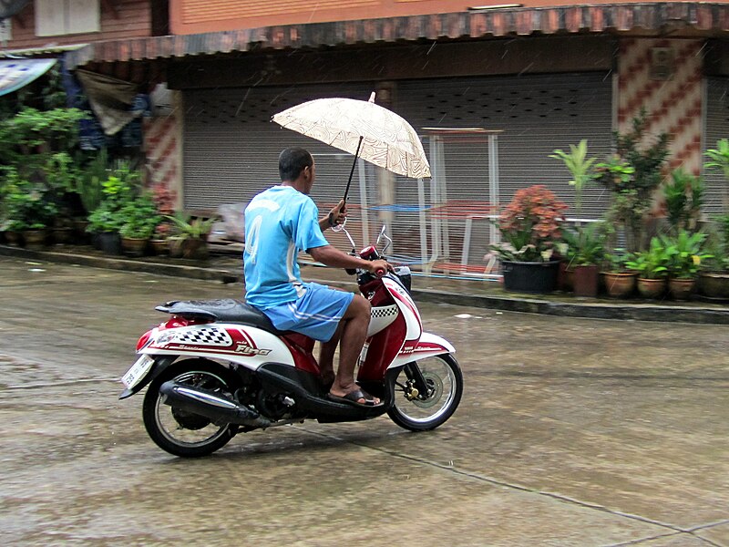 File:Man On a Scooter In Rain Holding Umbrella 2.JPG