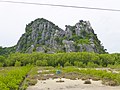 Mangroves in Thailand