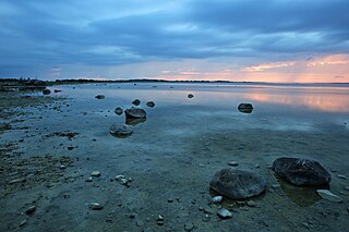 Matsalu Bay Bay in Estonia