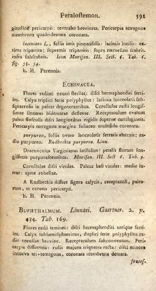 File:Methodus plantas-Moench-v2-519.png